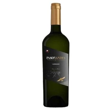 Imagem de Vinho Chileno Paso de Los Andes Carmenere 750ML