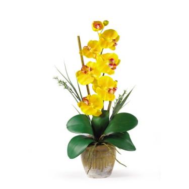 Imagem de Nearly Natural Arranjo de flores de orquídea de seda Phalaenopsis