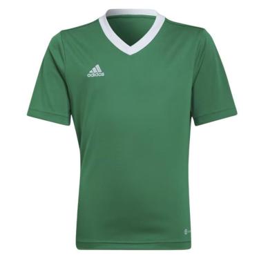 Imagem de Camiseta Adidas Entrada 22 Infantil - Verde 7-8-Unissex