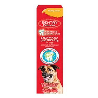 Imagem de Petrodex Pasta de dente enzimática para cães, ajuda a reduzir o acúmulo de tártaro e placa, sabor de aves, pacote com 2