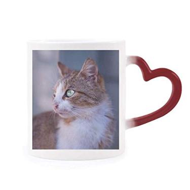 Imagem de Caneca de grés com perfil de gato marrom com aparência selvagem sensível ao calor que muda de cor vermelha