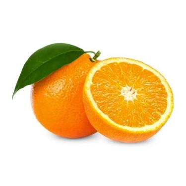 Imagem de Muda Frutífera de Laranja Açúcar Enxertada - AgroJardim