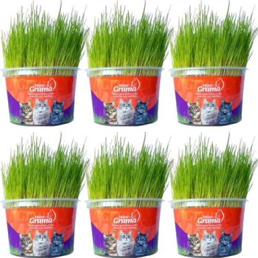 Imagem de Kit 6un Graminha para Gatos - Mister Grama - GRUPO MISTER