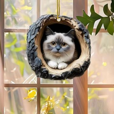 Imagem de Enfeite de Natal de gato Ragdoll com furo de árvore de acrílico, decoração de férias pendurada em cordas, presente criativo para árvore de Natal em casa/SDMM-02