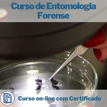 Imagem de Curso Online de Entomologia Forense com Certificado