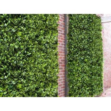 Imagem de 21 Placas Artificiais de Alto Padrão Beleza Incrível para Jardins Vert