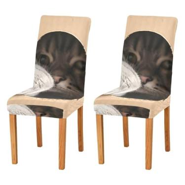 Imagem de xigua Capa de cadeira de caixa de papelão para gatos espiando dentro, 2 peças, capas elásticas laváveis para cadeira de cozinha, protetor de assento removível para festas de fim de ano, cozinha, hotel