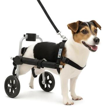 Imagem de Cadeira 2 Rodas Cachorro Traseira Regulável Deficiente Paraplégico - P