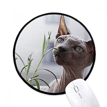 Imagem de Mouse pad de fotografia de gato fino cinza animal tapete redondo para computador