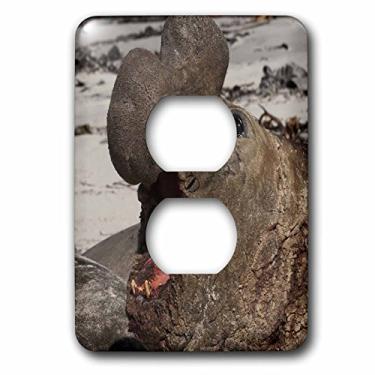 Imagem de 3dRose Lsp_86518_6 Southern Elephant Seal, Ilhas Falkland Sa09 Pox0433 Pete Oxford 2 Plug Outlet Cover