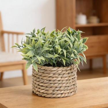 Imagem de Plantas artificiais verdes de 11 cm de tecido de eucalipto em vasos pequenos para decoração de casa (folhas pequenas - 7,8 x 11 cm)