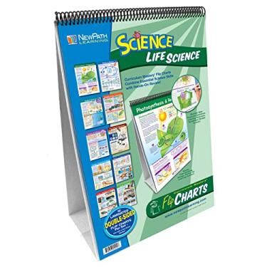 Imagem de NewPath Learning 10 Piece Mastering Middle School Life Science Curriculum Mastery Flip Chart Set, Grade 5-9 Multi, 12 L X 18 W in