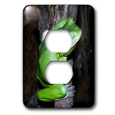 Imagem de 3dRose Tampa de tomada com 2 plugues para sapo de árvore lsp_1312_6
