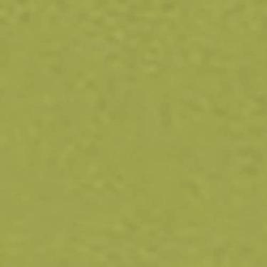 Imagem de Tinta Acrílica Fosca - Nature Colors Acrilex 250 ml Verde Pistache - 570