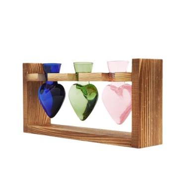 Imagem de Bothyi Decoração de casa de vaso de flor hidropônica Decoração de casa simples Flores propagando vaso de vidro de jarra para sala de estar cozinha, Cor