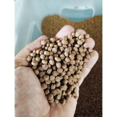 Imagem de Kit 2KG Ração 5mm para Tartarugas Répteis e Peixes Filhotes 32% - Raçõ