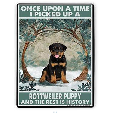 Imagem de Cusde Placa de metal engraçada Rottweiler Puppy Poster I Picked Up A Rottweiler Puppy The Rest Is History Sinais de lata decoração de parede para escritório em casa decorações de casa quarto 20 x 30