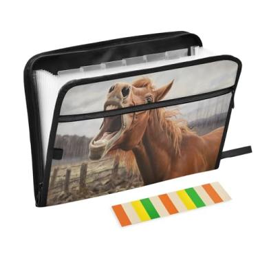 Imagem de Wassud Organizador de arquivos sanfonado com 13 bolsos Screaming Horse, pastas expansíveis com abas e adesivos, papel tamanho carta A4, recibos, documentos, pasta organizadora para viagens de