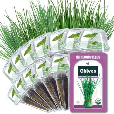 Imagem de Cápsulas de sementes de cebolinha HiHOYA  kit hidropônico de ervas com