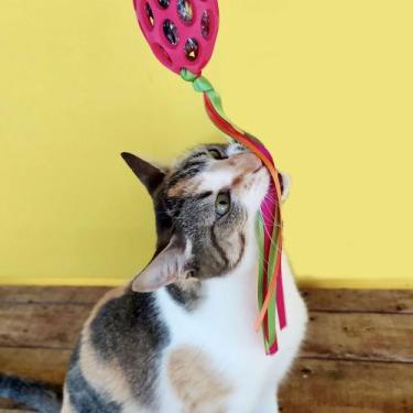Imagem de Brinquedo Interativo Football with Streamer JW para Gatos - Germanhärt
