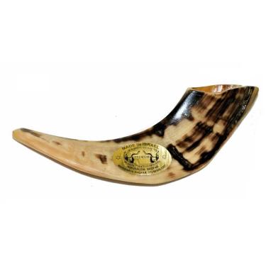 Imagem de Shofar Chifre De Carneiro De Tocar Claro -Israel 25-29 Cm