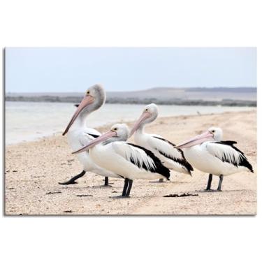 Imagem de 093 Austrália impressões em tela natureza pássaro pôster arte de parede para casa 1 peça decorações não ramed 30,5 x 20,3 cm