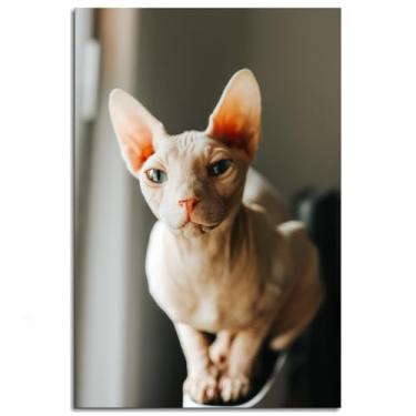 Imagem de Pôster Sphynx Natureza Impressão em Tela Gato Arte de Parede Para Casa 1 Painéis Decorações Noframed 30.5 cm x 20.3 cm