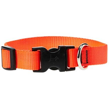 Imagem de LupinePet Coleira ajustável Basics 1,9 cm Blaze Orange 38,1 a 63,5 cm para cães grandes