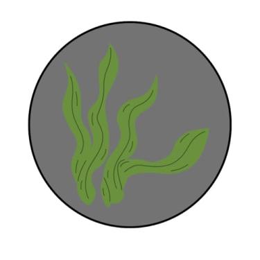 Imagem de Adesivo Personalizado Marítimo Redondo, 50mm, Tema Maritimo para Aquário (VM269, COUCHÉ190, 50MM)