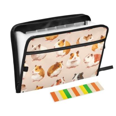 Imagem de CEBUGI Pasta expansível com 13 bolsos, organizador de arquivos sanfonado à prova d'água com etiquetas tamanho A4, organizador de documentos de papel para escola, material de escritório