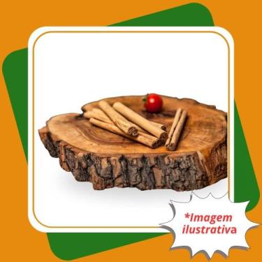 Imagem de Muda de Canela do Ceilão  Canela Verdadeira Utiliza a Casca  Cinnamomu
