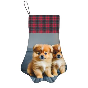 Imagem de SKKNT Pomeranians Puppies and Point Print Meias de Natal Animais de Estimação Decoração de Natal Cães Gatos Árvore Decoração Doce Presente Conveniente