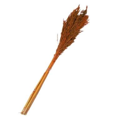 Imagem de Planta Seca Capim Arroz do Cerrado Laranja - Pense Flores