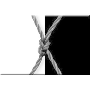 Imagem de Kit 1.50x1.00 De Redes De Proteção  P/ Janelas Crianças Gato