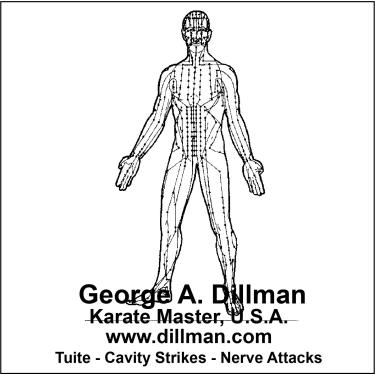 Imagem de DVD AKO: Awesome Knockouts