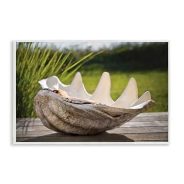 Imagem de Stupell Industries Arte giclée emoldurada cinza Sea Treasure Shell, design por Seven Trees Design, 20 x 30