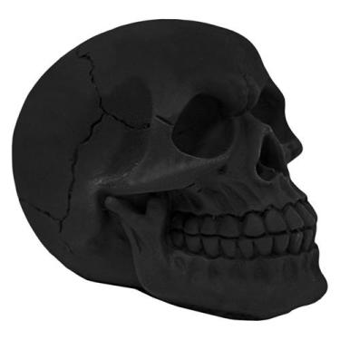 Imagem de Crânio Caveira Sócrates Realista Osso Várias Cores De Resina  - M3 Dec