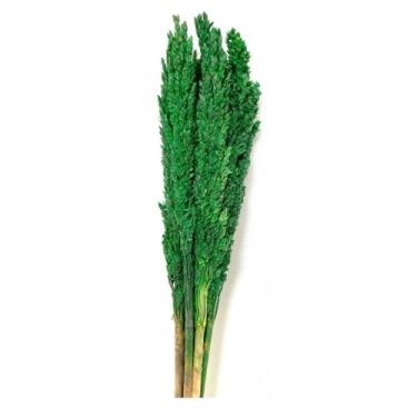 Imagem de Buquê Capim Flor Sorgo Secos Arranjo Desidratado - Inspira Flora, Verd