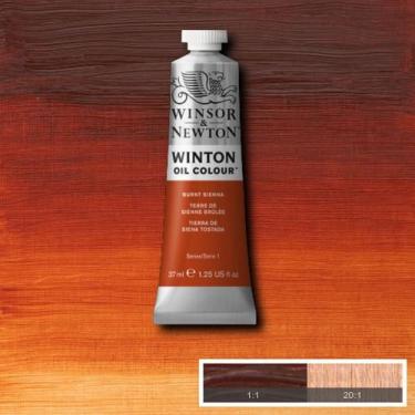 Imagem de Tinta A Óleo Para Tela Winton 37ml 074 S1 Burnt Sienna - Winsor & Newt