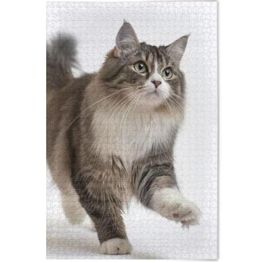 Imagem de Quebra-cabeça de gato fofo personalizado Ragdoll animal 500 peças pintura animal adulto legal Prime quebra-cabeças amantes presentes família, 52 cm x 37,8 cm