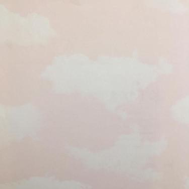 Imagem de Papel De Parede All Kids Céu Cor De Rosa H2911303 Rolo 10m X 0,53m