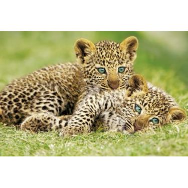 Imagem de BUY ART FOR LESS Pôster artístico oficialmente licenciado Cheetah Cubs - 61 x 91 cm - Impressão decorativa - Papel pôster - Pronto para emoldurar