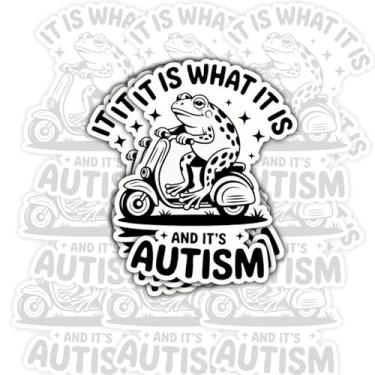 Imagem de Adesivo de vinil com citação neurodivergente de sapo engraçado à prova d'água para laptop, copo, caderno, presente para adultos autistas, estudantes de 7,6 cm