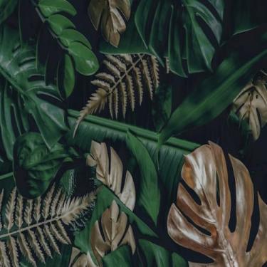 Imagem de Quadro Decorativo de Folhagem Vista Panorâmica Arte Moderna para Decoração de Parede 30x30cm