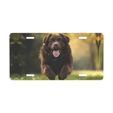 Imagem de Placa decorativa Newfoundland Dog Joyful Running Placa de carro de metal. Etiqueta de vaidade. Placa de carro de alumínio Noverlty impermeável Colorfast 30 × 15 cm