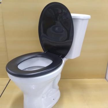 Imagem de Assento Tampa Vaso Sanitário Oval Universal Não Almofadado Resistente Confortável Diversas Cores(PRETO - PR1)
