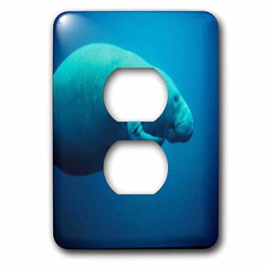 Imagem de 3dRose lsp_80259_6 Linda imagem de Manatê da Flórida arranhando si mesmo tomada capa