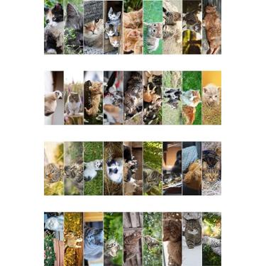 Imagem de Livin Harmony || Marcadores de página de flores bonitos (12 – conjunto) || Lindo presente para mulheres, crianças, Dia das Mães, meninas, estudantes || 17,78 cm x 5 cm || Marcadores de livro de qualidade premium feitos nos EUA, Cats