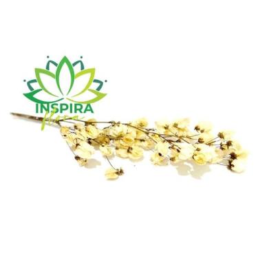 Imagem de Buque Flor De Bouganville Alvejado - Inspira Flora
