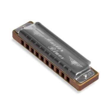 Imagem de Gaita Diatônica Master Blues Dó Hering